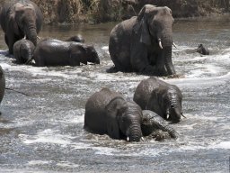 Western_Corridor2009-32